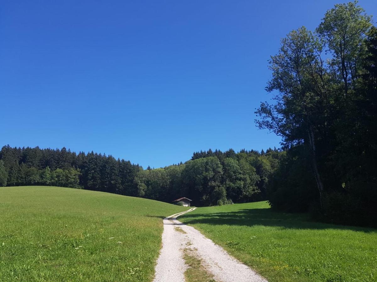 Ferienhaus Chiemgauer Auszeit- Chiemgaukarte Inclusive 시그스도프 외부 사진